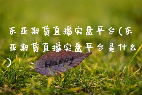 东亚期货直播实盘平台(东亚期货直播实盘平台是什么)_https://www.zcsm.com.cn_期货喊单_第1张