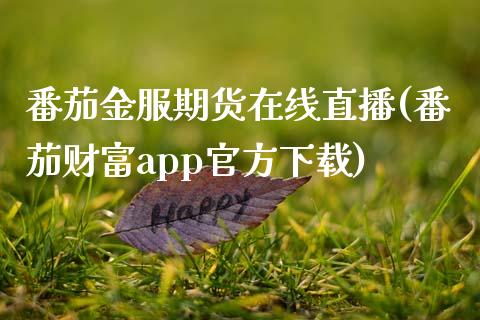 番茄金服期货在线直播(番茄财富app官方下载)_https://www.zcsm.com.cn_期货喊单_第1张
