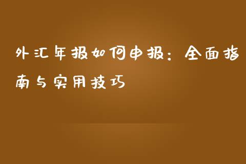 外汇年报如何申报：全面指南与实用技巧_https://www.zcsm.com.cn_期货交易_第1张