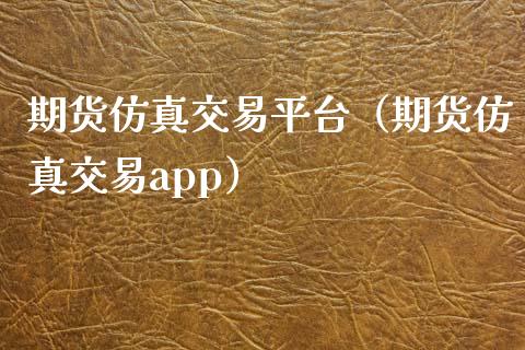 期货仿真交易平台（期货仿真交易app）_https://www.zcsm.com.cn_期货培训_第1张