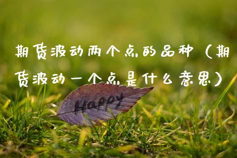 期货波动两个点的品种（期货波动一个点是什么意思）_https://www.zcsm.com.cn_期货喊单_第1张
