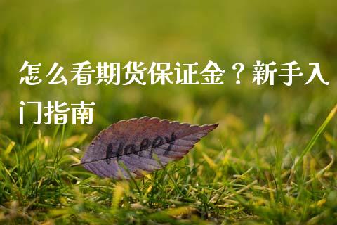 怎么看期货保证金？新手入门指南_https://www.zcsm.com.cn_原油期货_第1张