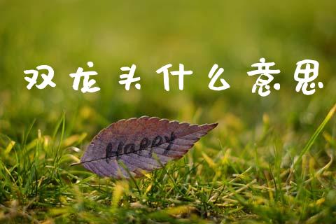 双龙头什么意思_https://www.zcsm.com.cn_期货喊单_第1张
