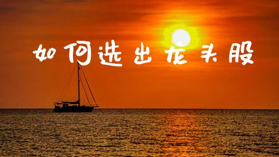 如何选出龙头股_https://www.zcsm.com.cn_原油期货_第1张