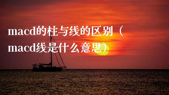macd的柱与线的区别（macd线是什么意思）_https://www.zcsm.com.cn_期货培训_第1张