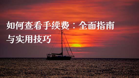 如何查看手续费：全面指南与实用技巧_https://www.zcsm.com.cn_期货培训_第1张