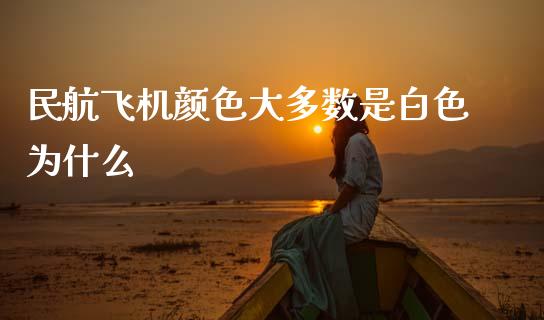 民航飞机颜色大多数是白色为什么_https://www.zcsm.com.cn_期货行情_第1张