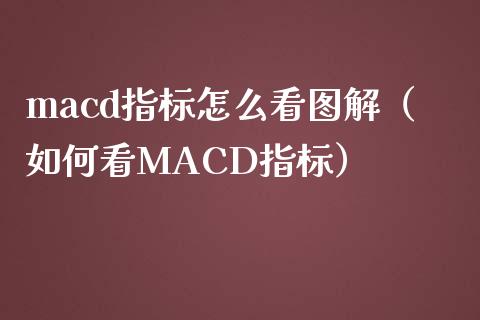 macd指标怎么看图解（如何看MACD指标）_https://www.zcsm.com.cn_期货培训_第1张