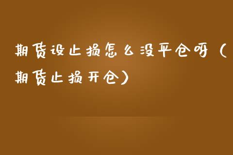期货设止损怎么没平仓呀（期货止损开仓）_https://www.zcsm.com.cn_期货交易_第1张