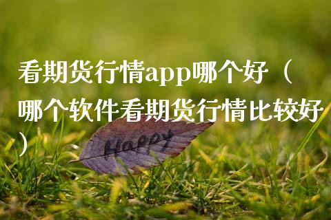 看期货行情app哪个好（哪个软件看期货行情比较好）_https://www.zcsm.com.cn_期货行情_第1张