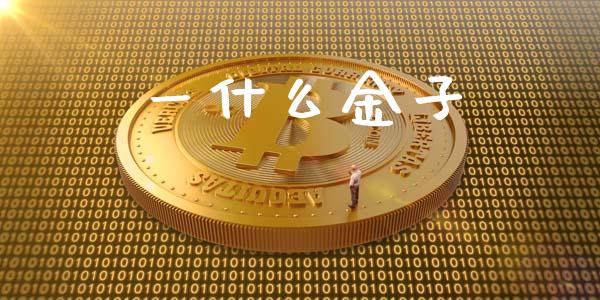一什么金子_https://www.zcsm.com.cn_期货百科_第1张