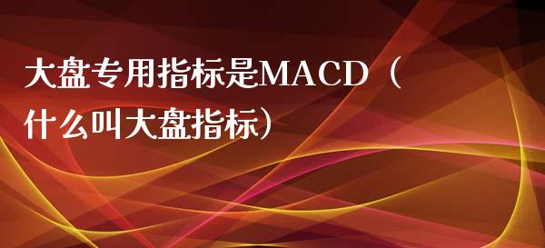 大盘专用指标是MACD（什么叫大盘指标）_https://www.zcsm.com.cn_期货培训_第1张