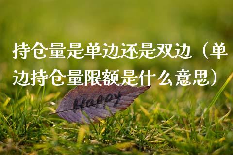 持仓量是单边还是双边（单边持仓量限额是什么意思）_https://www.zcsm.com.cn_期货交易_第1张
