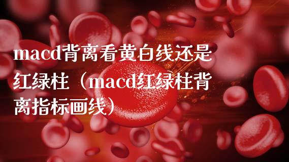 macd背离看黄白线还是红绿柱（macd红绿柱背离指标画线）_https://www.zcsm.com.cn_期货培训_第1张
