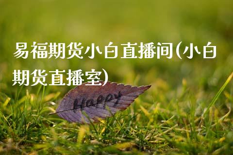 易福期货小白直播间(小白期货直播室)_https://www.zcsm.com.cn_期货行情_第1张
