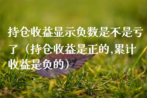 持仓收益显示负数是不是亏了（持仓收益是正的,累计收益是负的）_https://www.zcsm.com.cn_期货交易_第1张