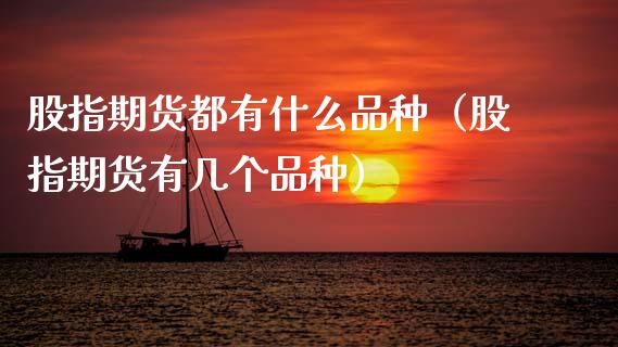 股指期货都有什么品种（股指期货有几个品种）_https://www.zcsm.com.cn_期货喊单_第1张