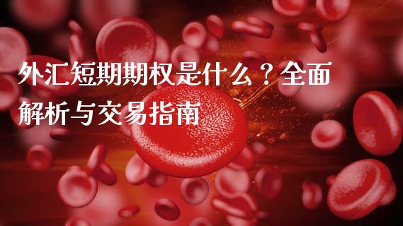 外汇短期期权是什么？全面解析与交易指南_https://www.zcsm.com.cn_期货行情_第1张