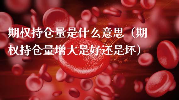 期权持仓量是什么意思（期权持仓量增大是好还是坏）_https://www.zcsm.com.cn_期货交易_第1张