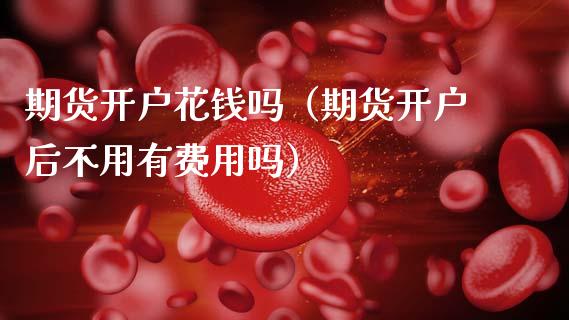期货开户花钱吗（期货开户后不用有费用吗）_https://www.zcsm.com.cn_期货行情_第1张