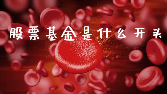 股票基金是什么开头_https://www.zcsm.com.cn_期货培训_第1张