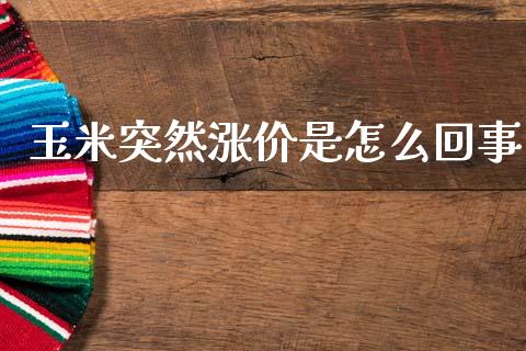 玉米突然涨价是怎么回事_https://www.zcsm.com.cn_期货培训_第1张