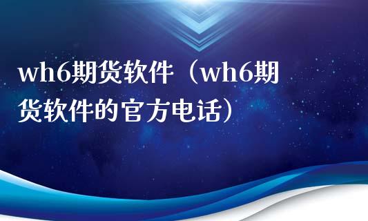 wh6期货软件（wh6期货软件的官方电话）_https://www.zcsm.com.cn_原油期货_第1张