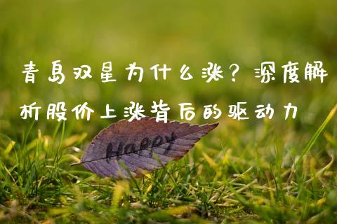 青岛双星为什么涨？深度解析股价上涨背后的驱动力_https://www.zcsm.com.cn_原油期货_第1张