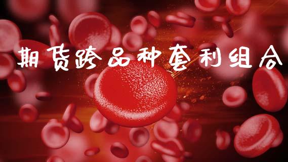 期货跨品种套利组合_https://www.zcsm.com.cn_期货喊单_第1张
