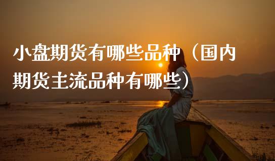 小盘期货有哪些品种（国内期货主流品种有哪些）_https://www.zcsm.com.cn_期货喊单_第1张