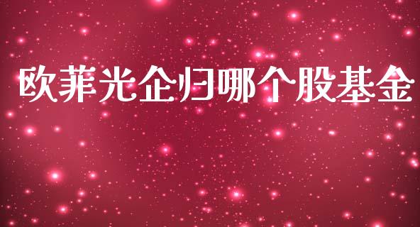 欧菲光企归哪个股基金_https://www.zcsm.com.cn_期货百科_第1张