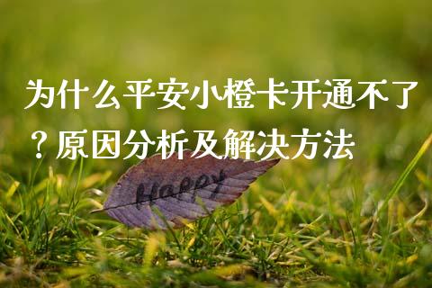 为什么平安小橙卡开通不了？原因分析及解决方法_https://www.zcsm.com.cn_期货培训_第1张