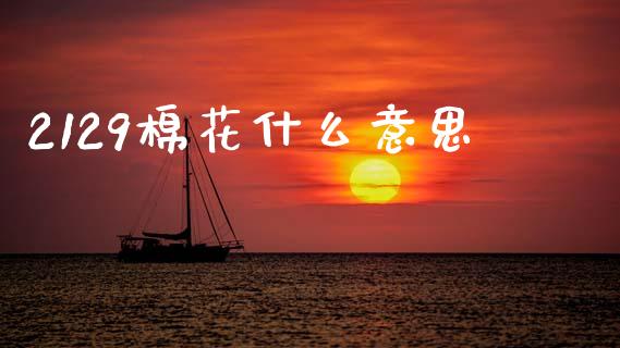 2129棉花什么意思_https://www.zcsm.com.cn_期货百科_第1张