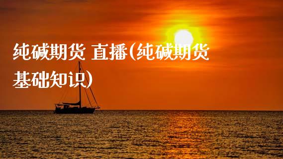 纯碱期货 直播(纯碱期货基础知识)_https://www.zcsm.com.cn_期货百科_第1张