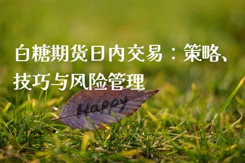 白糖期货日内交易：策略、技巧与风险管理_https://www.zcsm.com.cn_期货交易_第1张