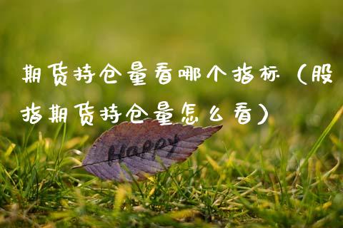 期货持仓量看哪个指标（股指期货持仓量怎么看）_https://www.zcsm.com.cn_期货交易_第1张