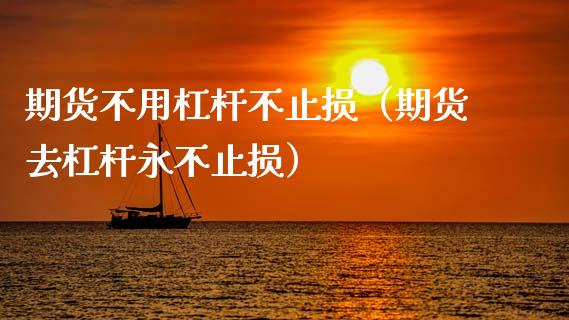 期货不用杠杆不止损（期货去杠杆永不止损）_https://www.zcsm.com.cn_期货交易_第1张