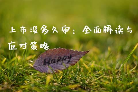 上市没多久审：全面解读与应对策略_https://www.zcsm.com.cn_期货交易_第1张