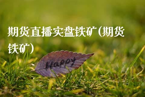 期货直播实盘铁矿(期货 铁矿)_https://www.zcsm.com.cn_期货行情_第1张