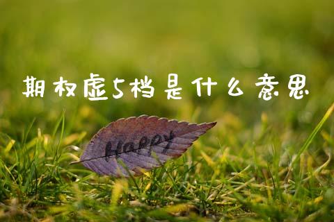 期权虚5档是什么意思_https://www.zcsm.com.cn_期货喊单_第1张