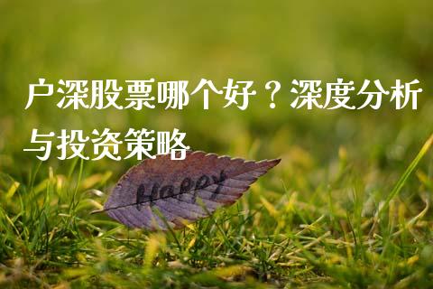 户深股票哪个好？深度分析与投资策略_https://www.zcsm.com.cn_期货行情_第1张