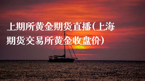 上期所黄金期货直播(上海期货交易所黄金收盘价)_https://www.zcsm.com.cn_期货喊单_第1张
