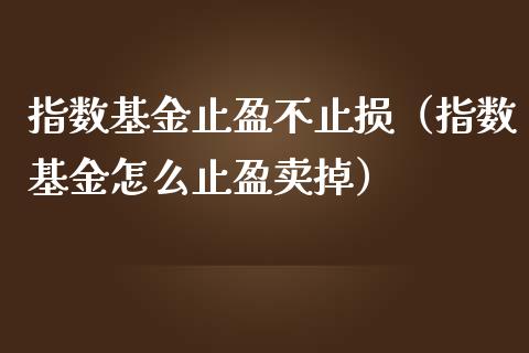 指数基金止盈不止损（指数基金怎么止盈卖掉）_https://www.zcsm.com.cn_期货交易_第1张