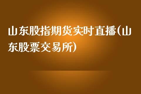 山东股指期货实时直播(山东股票交易所)_https://www.zcsm.com.cn_期货喊单_第1张