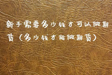 新手需要多少钱才可以做期货（多少钱才能做期货）_https://www.zcsm.com.cn_期货百科_第1张