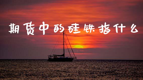期货中的硅铁指什么_https://www.zcsm.com.cn_期货行情_第1张