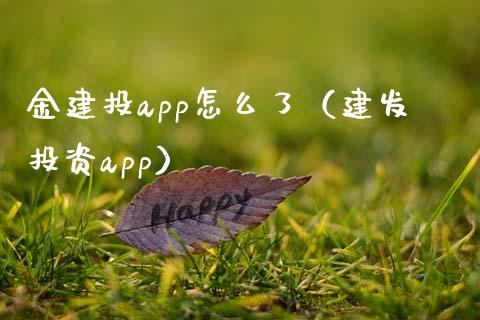金建投app怎么了（建发投资app）_https://www.zcsm.com.cn_原油期货_第1张
