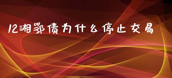 12湘鄂债为什么停止交易_https://www.zcsm.com.cn_期货培训_第1张