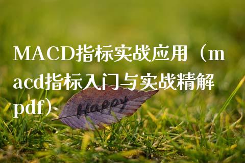 MACD指标实战应用（macd指标入门与实战精解pdf）_https://www.zcsm.com.cn_期货培训_第1张