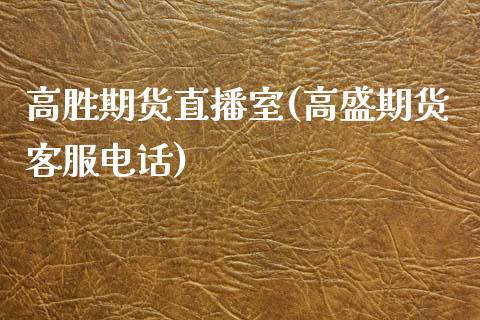 高胜期货直播室(高盛期货客服电话)_https://www.zcsm.com.cn_期货喊单_第1张